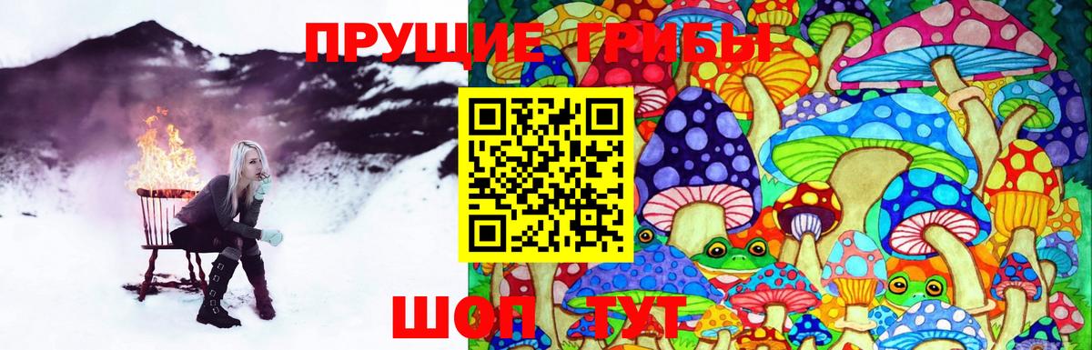 Псилоцибиновые грибы Cubensis  Вход с VPN  Среднеуральск 